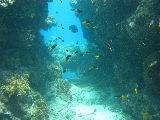 Foto: Great Barrier Reef